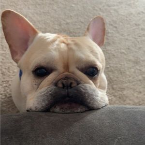 Meet your Posher, Katiya